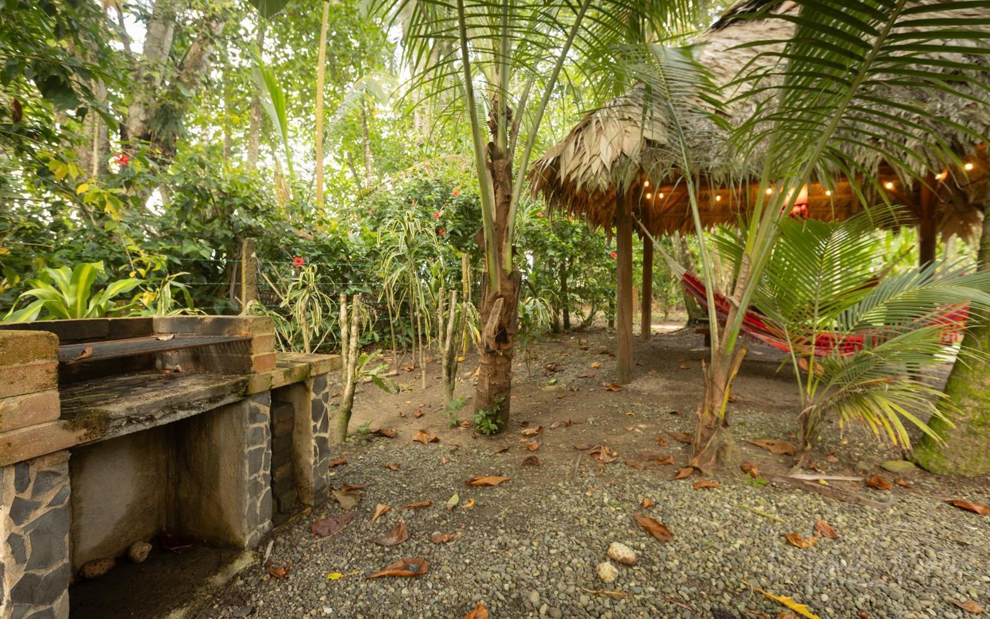 Our Beachfront Bungalow Punta Uva Ngoại thất bức ảnh